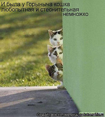 click for enlarge 404 X 450 51.2 Kb picture
