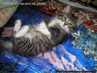 click for enlarge 600 X 450 105.7 Kb picture
