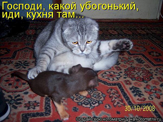 click for enlarge 600 X 450 95.9 Kb picture