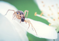 click for enlarge 900 X 635 168.2 Kb picture