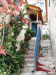click for enlarge 235 X 314 54.9 Kb picture