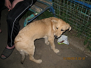 click for enlarge 1600 X 1200 705.6 Kb picture