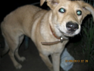 click for enlarge 1600 X 1200 438.6 Kb picture