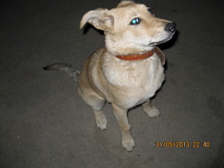 click for enlarge 1600 X 1200 465.4 Kb picture