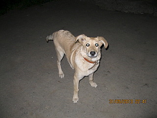 click for enlarge 1600 X 1200 546.8 Kb picture