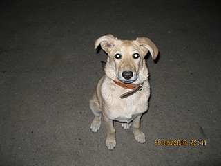 click for enlarge 1600 X 1200 585.5 Kb picture