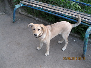 click for enlarge 1600 X 1200 602.7 Kb picture