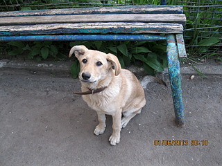 click for enlarge 1600 X 1200 747.9 Kb picture