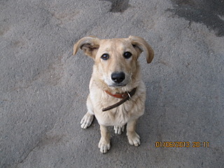 click for enlarge 1600 X 1200 573.2 Kb picture