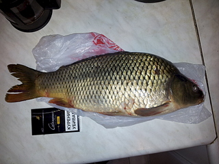 click for enlarge 1920 X 1440 174.3 Kb picture