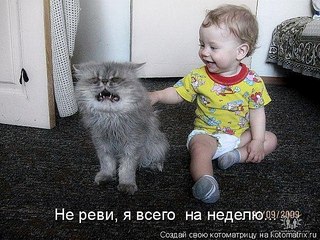 click for enlarge 604 X 453  93.8 Kb picture