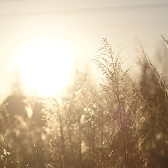 click for enlarge 1920 X 1920 503.8 Kb picture