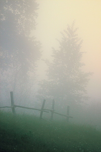 click for enlarge 641 X 962 249.9 Kb picture