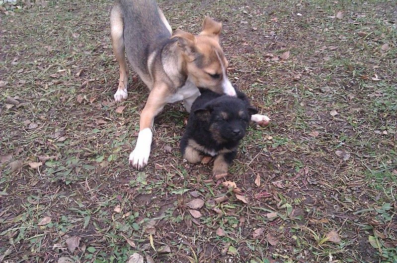 click for enlarge 1920 X 1275 884.5 Kb picture