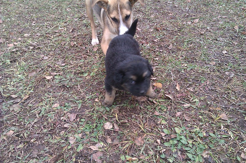 click for enlarge 1920 X 1275 953.7 Kb picture