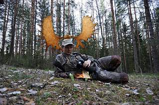 click for enlarge 903 X 600 622.6 Kb picture