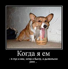 click for enlarge 580 X 591  45.9 Kb picture