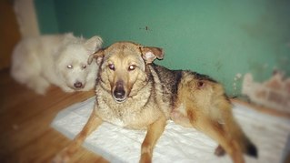 click for enlarge 604 X 339 28.3 Kb picture