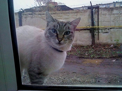 click for enlarge 640 X 480 190.8 Kb picture