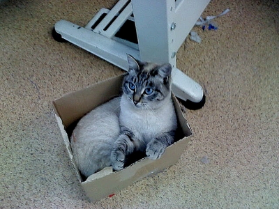 click for enlarge 640 X 480 200.9 Kb picture