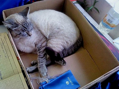 click for enlarge 604 X 453 207.6 Kb picture