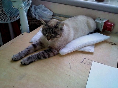 click for enlarge 640 X 480 161.2 Kb picture