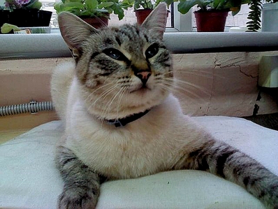 click for enlarge 640 X 480 180.5 Kb picture