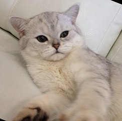 click for enlarge 391 X 386 21.1 Kb picture