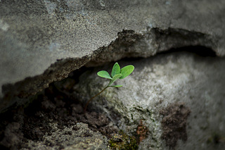 click for enlarge 1920 X 1280 497.4 Kb picture