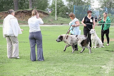 click for enlarge 500 X 333  81.6 Kb picture