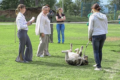 click for enlarge 500 X 333  87.3 Kb picture