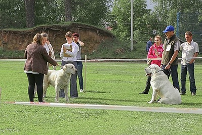 click for enlarge 500 X 333  85.9 Kb picture