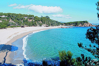 click for enlarge 800 X 534 220.6 Kb picture