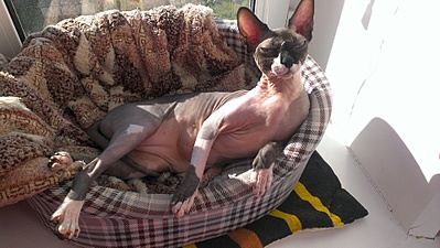 click for enlarge 1920 X 1082 799.3 Kb picture