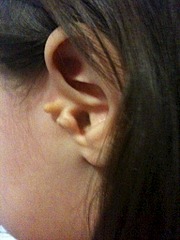 click for enlarge 1536 X 2048 266.9 Kb picture