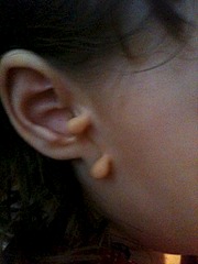 click for enlarge 1536 X 2048 228.5 Kb picture