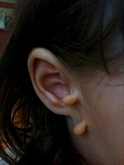 click for enlarge 1536 X 2048 205.0 Kb picture