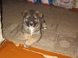 click for enlarge 1920 X 1440 865.8 Kb picture