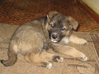 click for enlarge 1920 X 1440 767.1 Kb picture