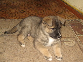 click for enlarge 1920 X 1440 794.2 Kb picture