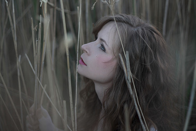 click for enlarge 1350 X 900 520.7 Kb picture