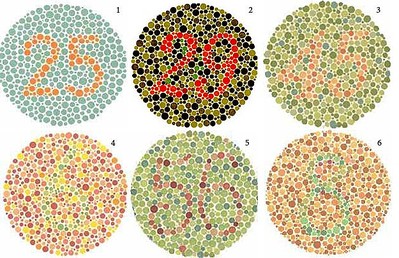 click for enlarge 625 X 404 112.6 Kb picture