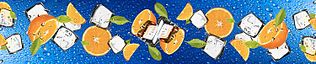 click for enlarge 750 X 151 95.0 Kb picture