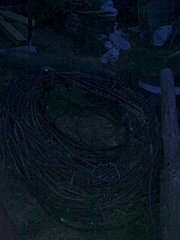 click for enlarge 1536 X 2048 548.2 Kb picture