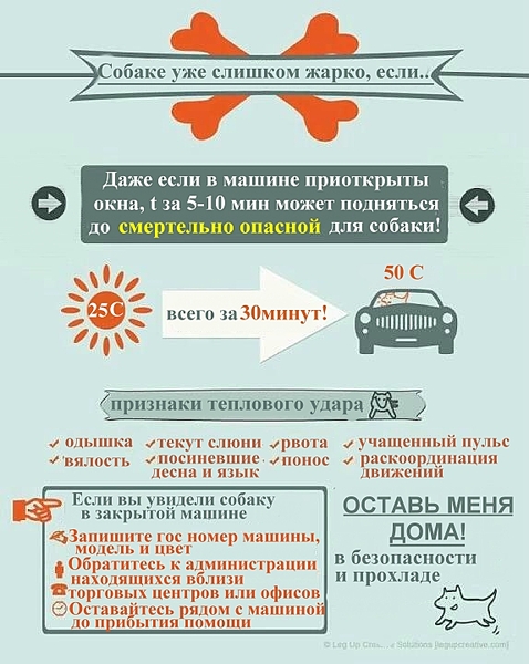 click for enlarge 574 X 720 171.8 Kb picture