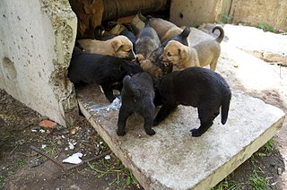 click for enlarge 807 X 535 116.5 Kb picture