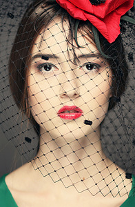 click for enlarge 588 X 900 503.2 Kb picture