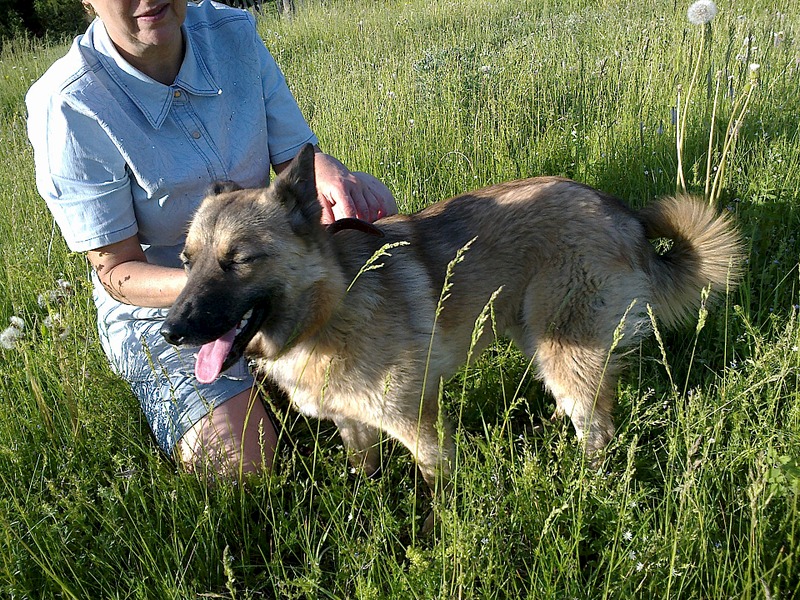 click for enlarge 1920 X 1440 534.0 Kb picture