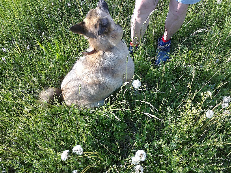 click for enlarge 1920 X 1440 717.6 Kb picture