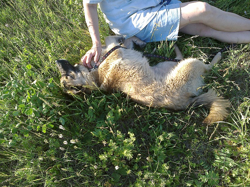 click for enlarge 1920 X 1440 635.2 Kb picture